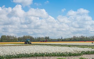 Onderzoek Hillegom