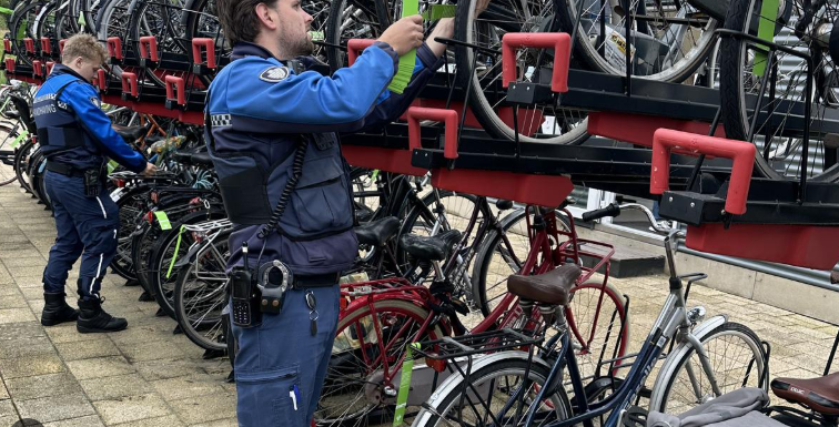 Weesfietsen