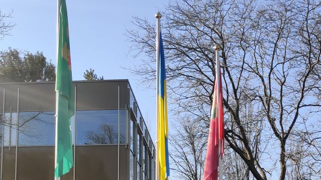 Vlaggen voor gemeentehuis